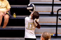 10012026Farm8VB_17-7