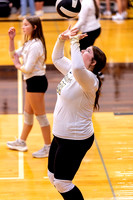10012026Farm8VB_39-3