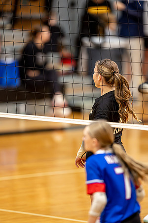 10052026Farm8VB_34-84
