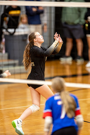 10052026Farm8VB_18-71