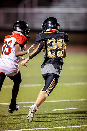 10082026FGTN7FB_29-84
