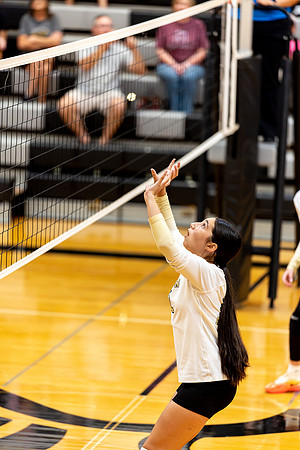 10012026Farm7VB_32-25