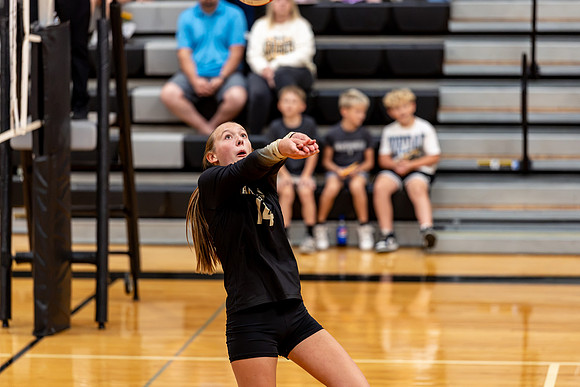 10052026Farm8VB_14-53