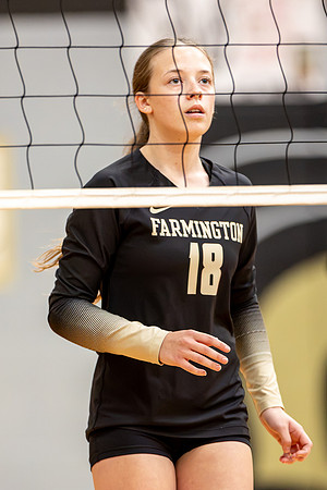 10052026Farm8VB_18-45