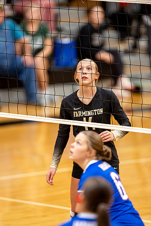 10052026Farm8VB_14-116