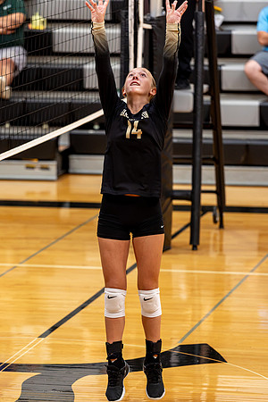 10052026Farm8VB_14-65