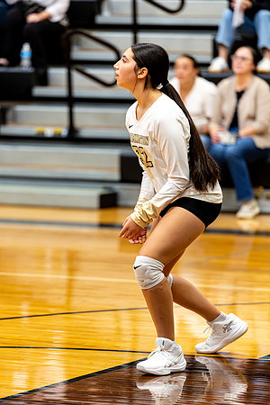 10012026Farm7VB_32-99