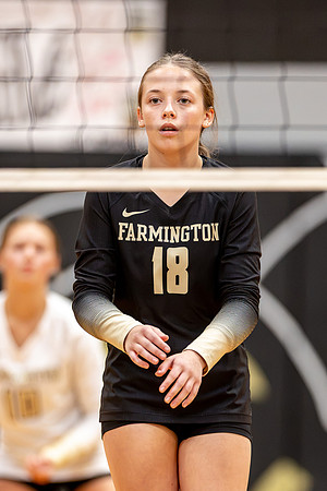 10052026Farm8VB_18-39