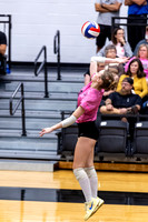 10052026FarmVVB_3-10