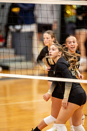 10052026Farm8VB_34-79