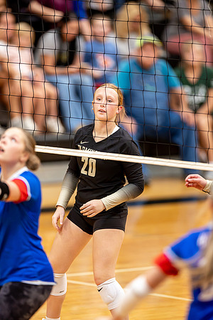 10052026Farm8VB_20-66
