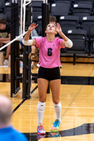 10052026FarmFrVB_6-2