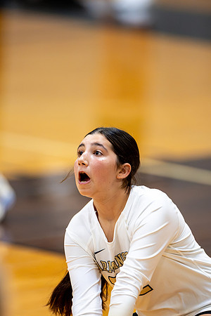 10012026Farm7VB_32-176