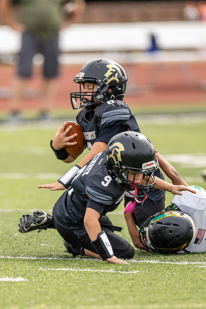 10102026FGTN4FB_8-225