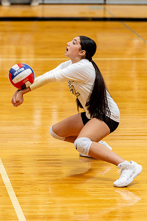 10012026Farm7VB_32-53