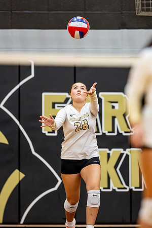 10012026Farm7VB_28-81