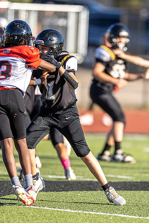 10082026FGTN7FB_11-31
