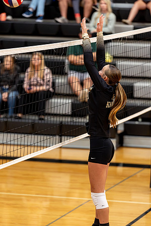 10052026Farm8VB_14-79
