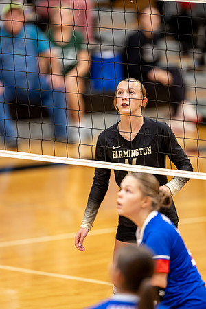 10052026Farm8VB_14-115