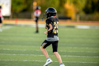 10082026FGTN7FB_29-4