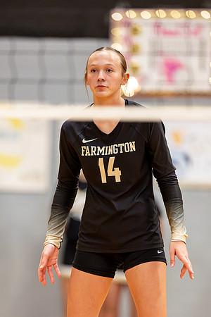 10052026Farm8VB_14-105