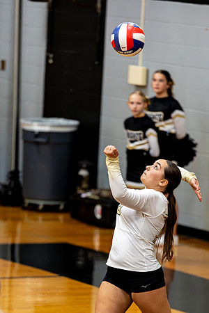 10012026Farm7VB_28-38