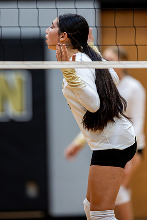 10012026Farm7VB_32-120