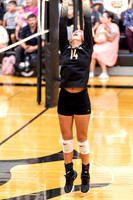 10052026Farm8VB_14-8