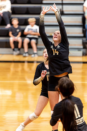 10052026Farm8VB_14-37