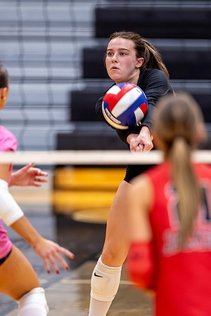 10052026FarmVVB_5-95