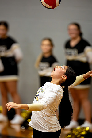 10012026Farm7VB_32-211