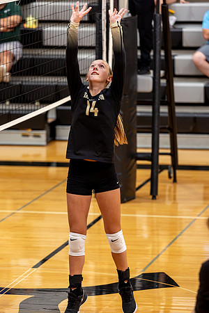 10052026Farm8VB_14-67