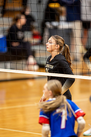 10052026Farm8VB_34-81