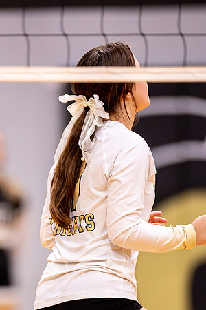10012026Farm8VB_17-140