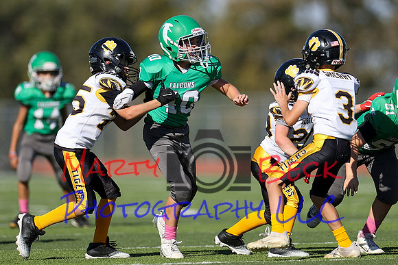 10202024 Hagner-36