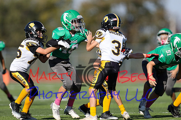10202024 Hagner-37