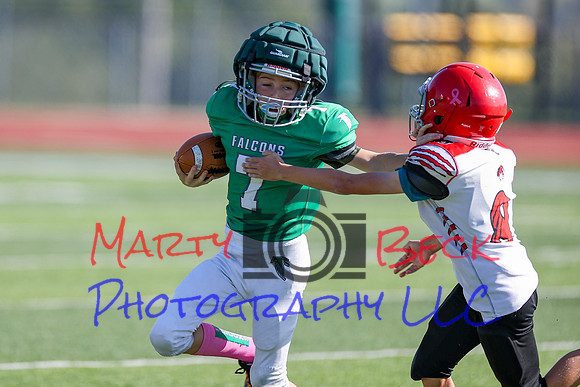 Bellin 10052024-55