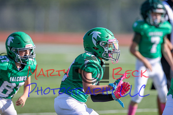 Harris 10052024-38