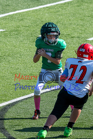 Bellin 10052024-40