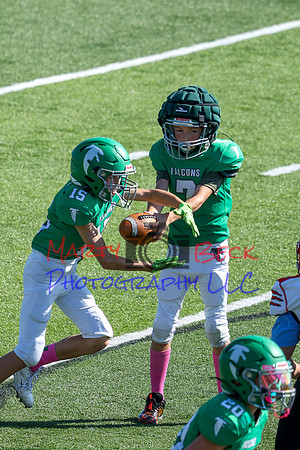 Bellin 10052024-36