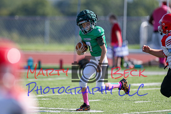 Bellin 10052024-49