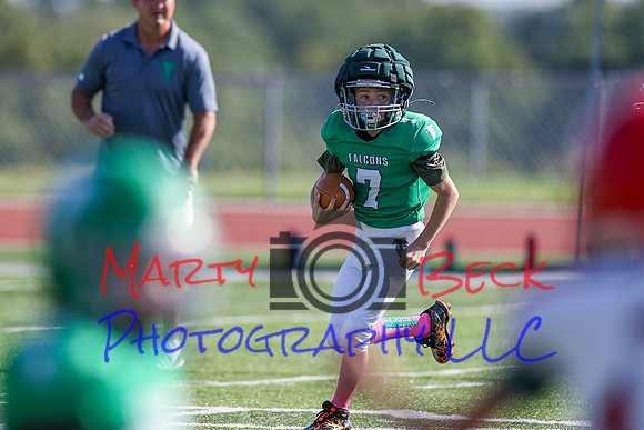 Bellin 10052024-50