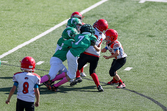 Bellin 10052024-125
