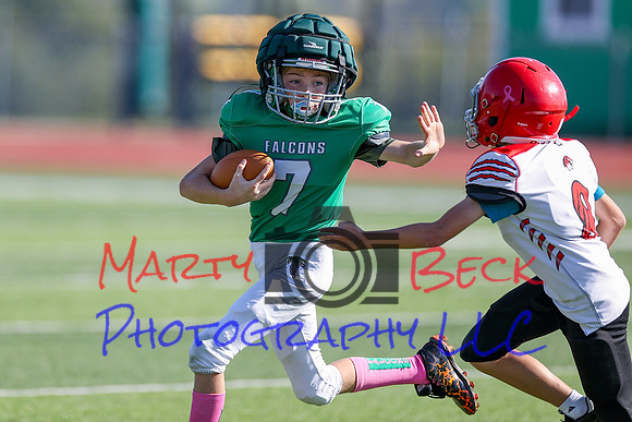 Bellin 10052024-54