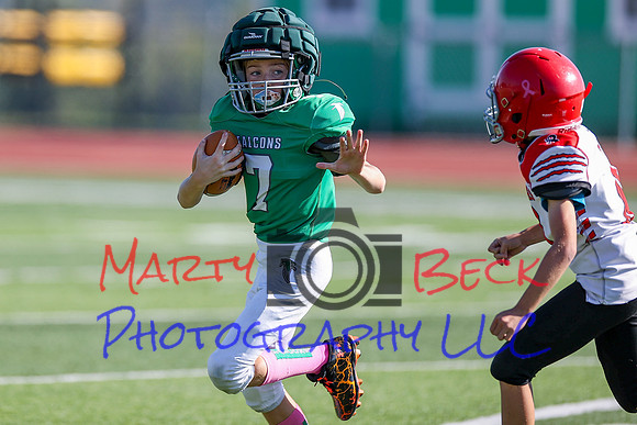 Bellin 10052024-53