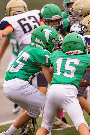 Schellman 09142024-75