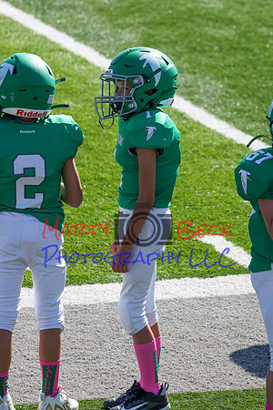 Bellin 10052024-41