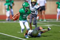 Live Game
