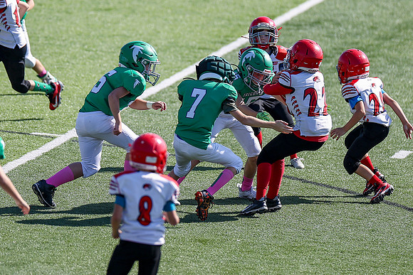 Bellin 10052024-122
