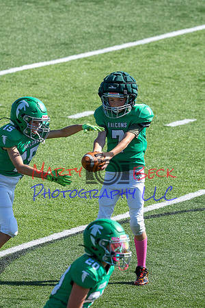 Bellin 10052024-35